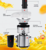 multifunctional electric power juicer 110V centrifugal juicer modern vertical stirring mini crushing without BPA household food stirring